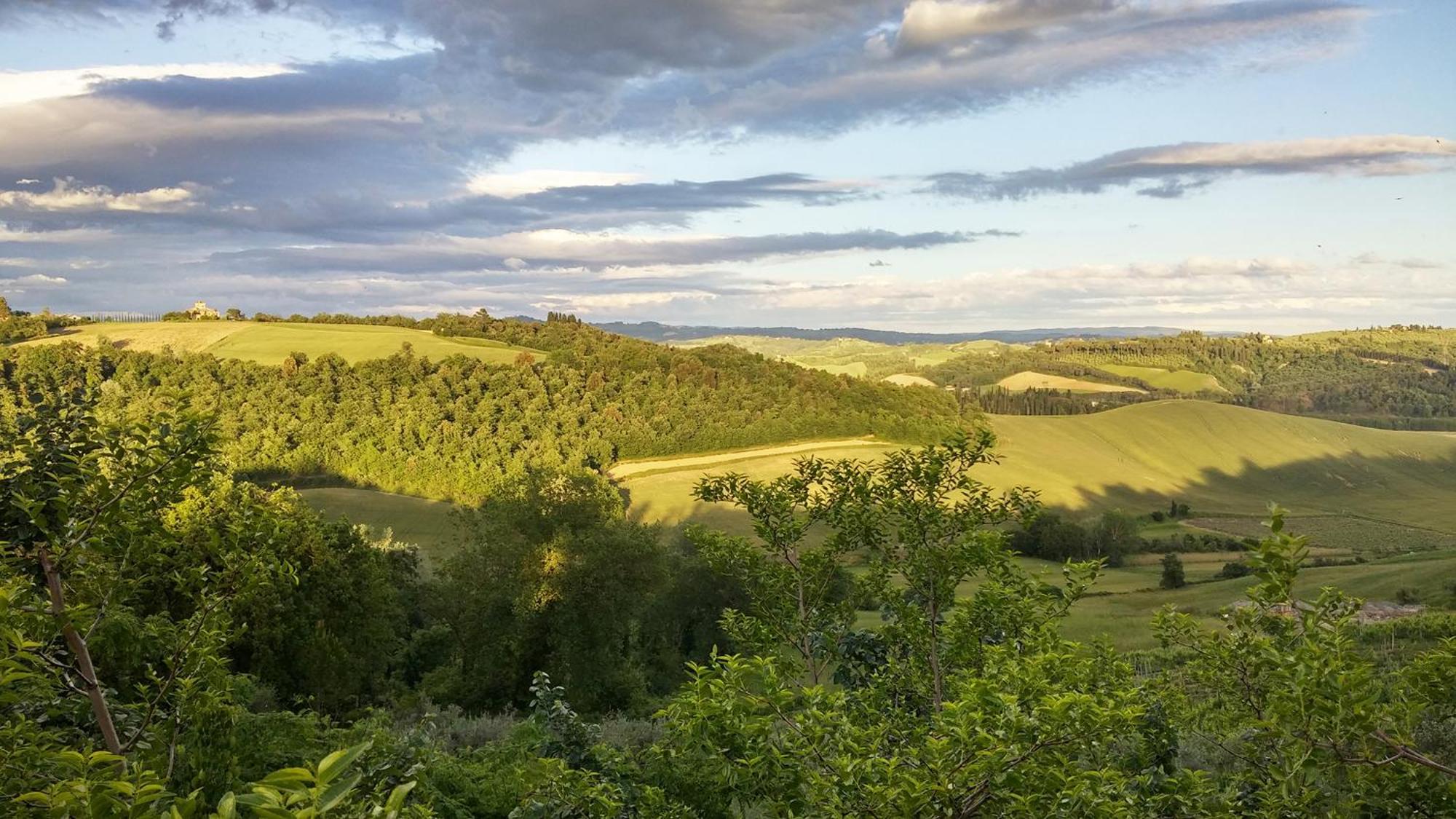 Willa Il Granaio Castelfiorentino Zewnętrze zdjęcie